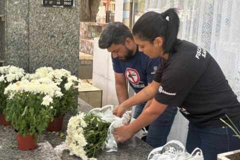 Vigilância faz alerta para evitar focos de dengue nos cemitérios de Paranavaí no Dia de Finados