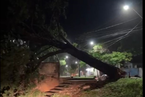 Temporal mobiliza força-tarefa em Paranavaí para remoção de árvores e atendimento a famílias