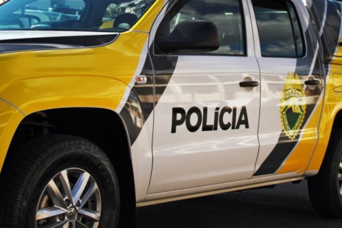 Pé de maconha na calçada leva PM a apreender drogas e prender suspeito em Paranavaí
