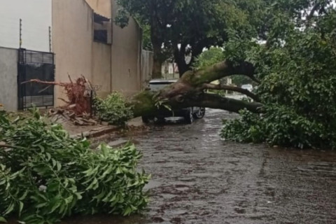 Chuva e vendaval deixam rastro de estragos e mobilizam equipes em Paranavaí